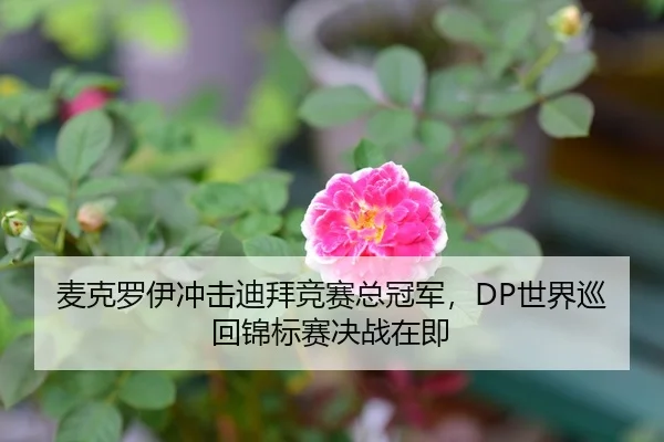 麦克罗伊冲击迪拜竞赛总冠军，DP世界巡回锦标赛决战在即