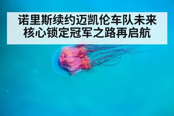 诺里斯续约迈凯伦车队未来核心锁定冠军之路再启航